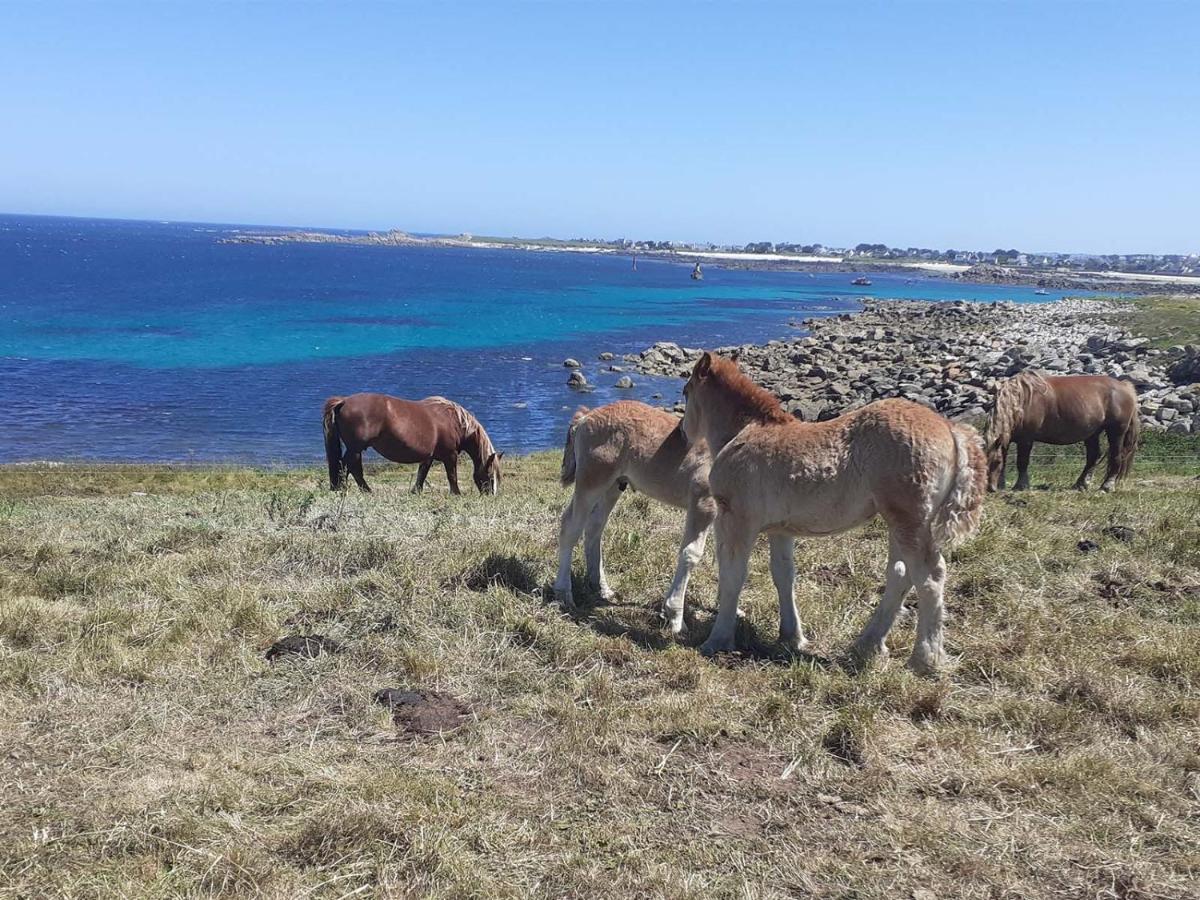 Les Portsallaises Piscine Ou Spa A 300M De La Plage Ploudalmézeau المظهر الخارجي الصورة
